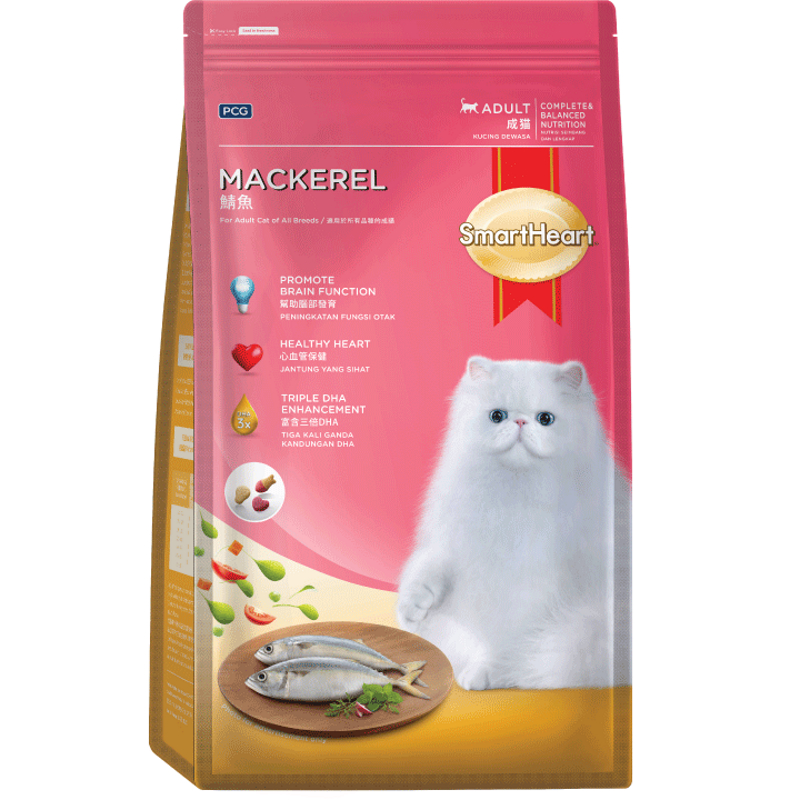 Best cat food shop for heart disease