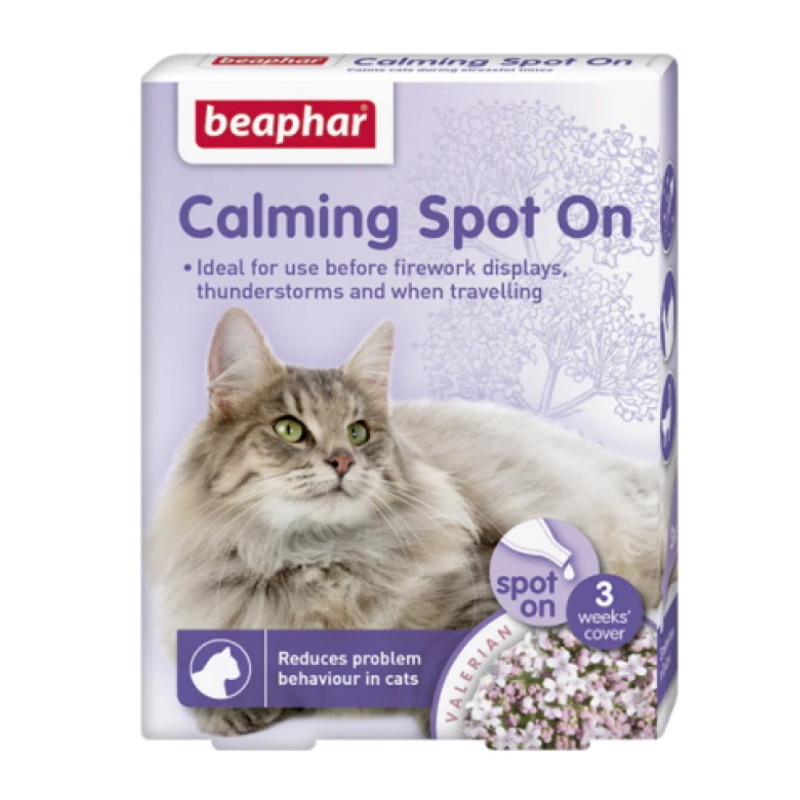 Beaphar Play Spray with Catnip